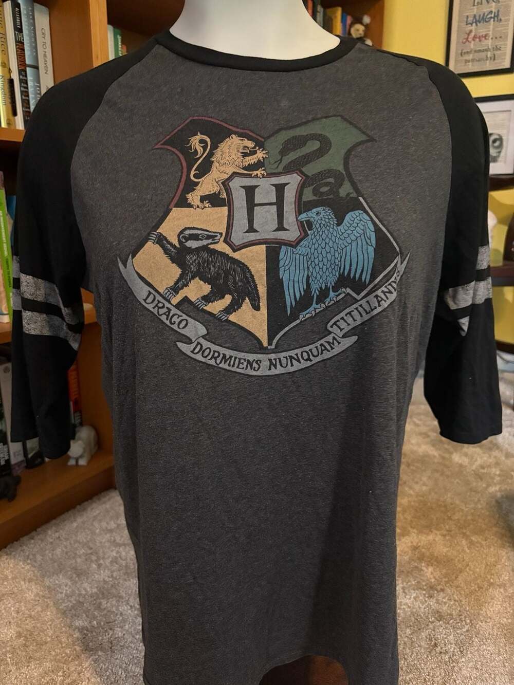 Harry Potter Hogwarts Houses Crest Raglan T-Shirt
